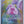 Load image into Gallery viewer, Pokemon - Tinkaton ex *Special Illustration Rare* Paldea Evolved 262/193
