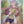 Load image into Gallery viewer, Pokemon - Miriam *Ultra Rare* Scarlet &amp; Violet 238/198
